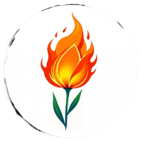 Tulipe en feu